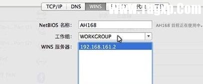 蘋果怎么通過路由器設(shè)置局域網(wǎng)