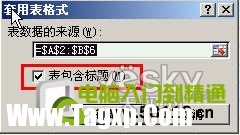 體驗(yàn)Excel2007自動(dòng)添加表格字段標(biāo)題功能_天極軟件
