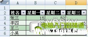 體驗(yàn)Excel2007自動(dòng)添加表格字段標(biāo)題功能_天極軟件