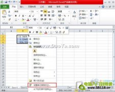 Excel2010中設(shè)置數(shù)值格式