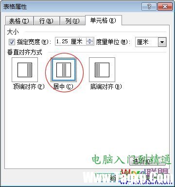 單元格居中