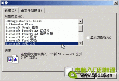 Word 基礎(chǔ)入門08-公式編輯器