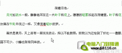 Word 基礎(chǔ)入門06-邊框和底紋