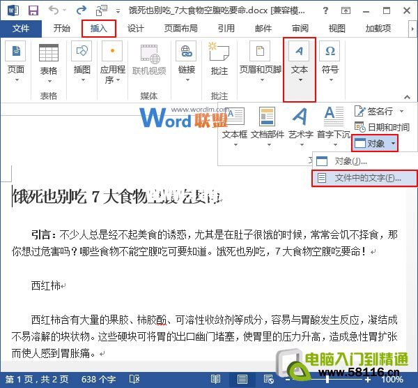 插入文件中的文字