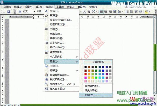 Word2003文檔中怎么樣去水印
