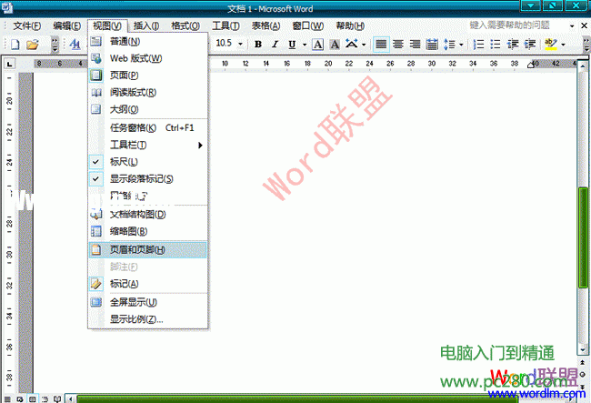 Word2003文檔中怎么樣去水印