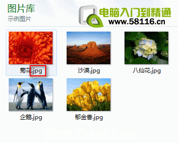 Win7系統(tǒng)如何顯示文件類型的擴(kuò)展名