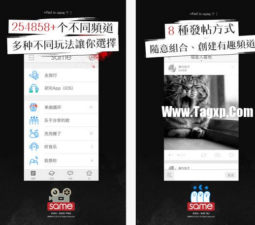 安卓same社交在哪下載 