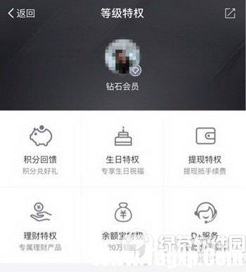 螞蟻鉆石會(huì)員特權(quán)有哪些 支付寶螞蟻花唄鉆石會(huì)員特權(quán)詳情1