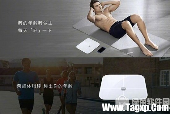 榮耀體脂秤多少錢?榮耀體脂秤怎么樣?值得入手嗎?1