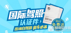 支付寶國際駕照認(rèn)證件怎