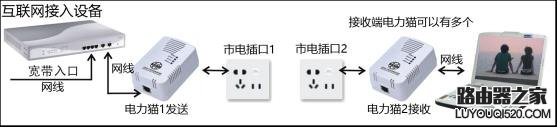 電力貓是什么？電力貓的優(yōu)缺點以及選購方法