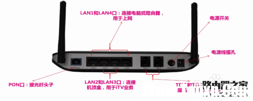 光貓指示燈，接口介紹