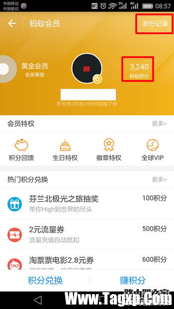 螞蟻積分在哪里查看 螞蟻積分怎么提升圖文全教程