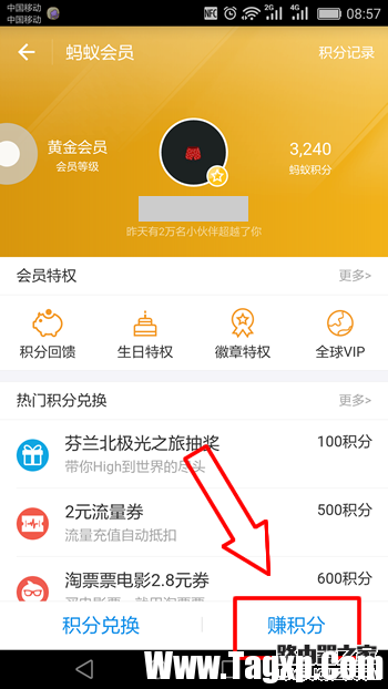 螞蟻積分在哪里查看 螞蟻積分怎么提升圖文全教程