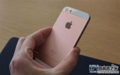 如何辨別iPhone SE的真假？iPhone SE辨別方法