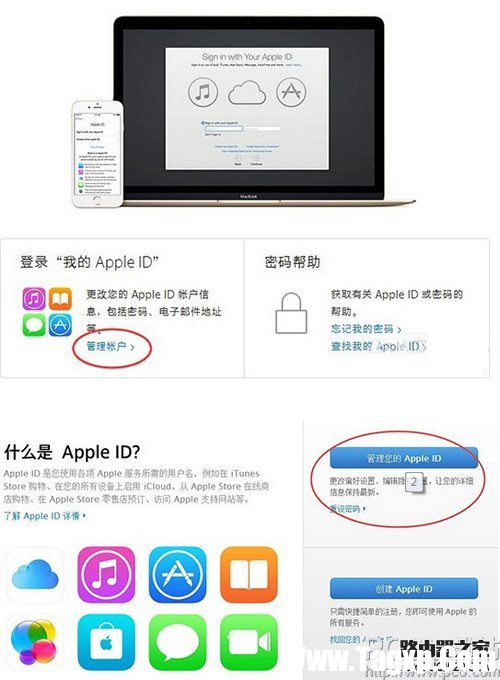 apple id怎么防止釣魚短信 apple id釣魚短信預(yù)防方法