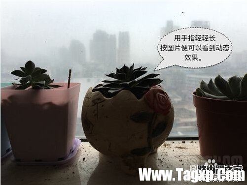iPhone6s Live Photos怎么拍？蘋(píng)果Live Photos怎么用