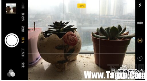 iPhone6s Live Photos怎么拍？蘋(píng)果Live Photos怎么用