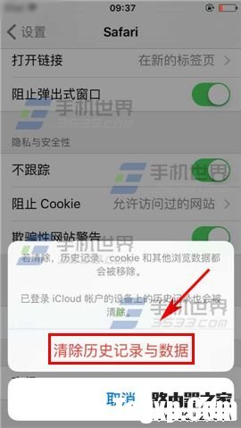 蘋果iPhone6S清除瀏覽器緩存方法
