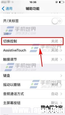 蘋果iPhone6sPlus如何設(shè)置切換控制