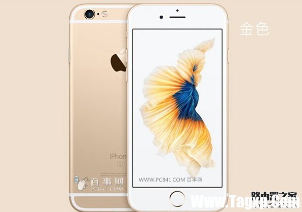 金色iPhone 6s