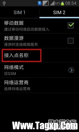 接入點名稱