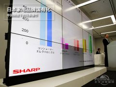 日本家電品牌國有化：中