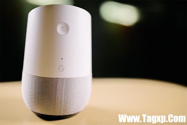 Amazon Echo vs. Google Home: 哪個才是你的菜?