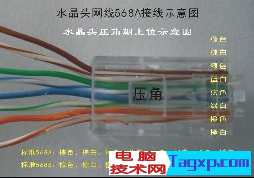 水晶頭接法圖解