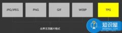 電腦中的tpg是什么意思 
