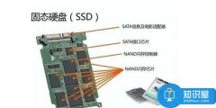 ssd上的數(shù)據(jù)刪除就沒了怎么恢復(fù)方法 為什