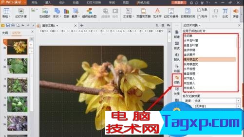 wps中的ppt怎么制作相冊 wps中的ppt制作相冊的方法圖解