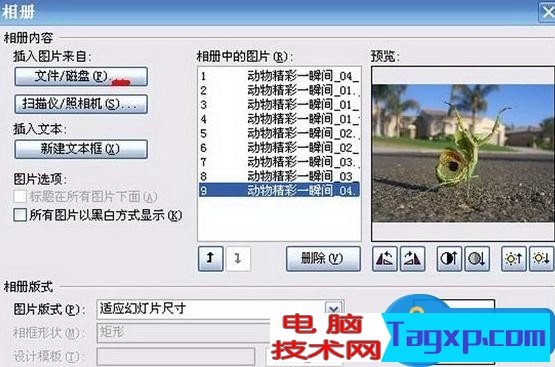 如何使用PowerPoint制作電子相冊 使用PPt制作電子相冊的步驟