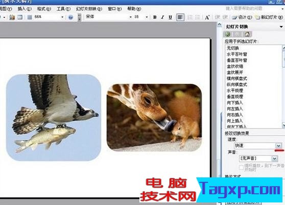 如何使用PowerPoint制作電子相冊 使用PPt制作電子相冊的步驟