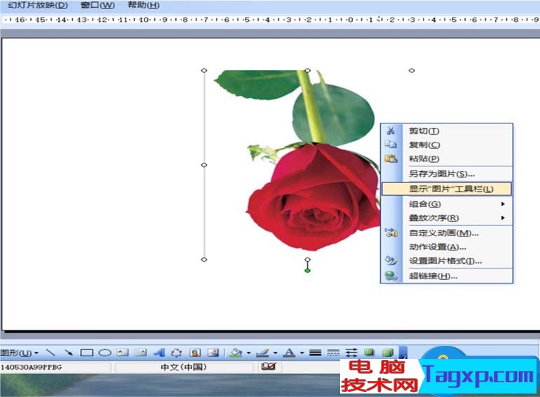 ppt怎么旋轉(zhuǎn)圖片制作方法步驟 怎樣將ppt插入圖片旋轉(zhuǎn)任意角度