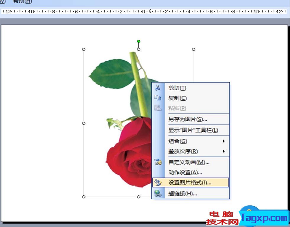 ppt怎么旋轉(zhuǎn)圖片制作方法步驟 怎樣將ppt插入圖片旋轉(zhuǎn)任意角度