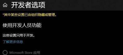 Windows10 1903系統(tǒng)開發(fā)人員模式打不開錯誤