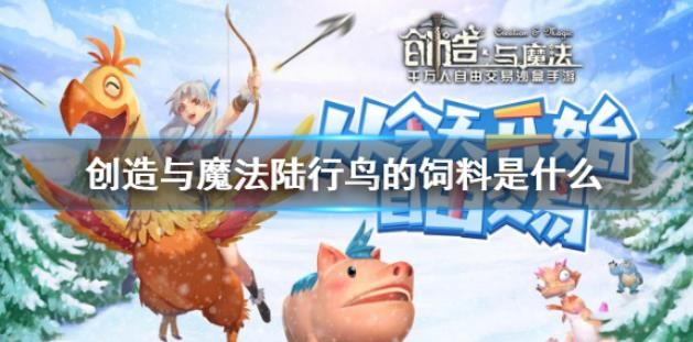 創(chuàng)造與魔法陸行鳥的飼料是什么？