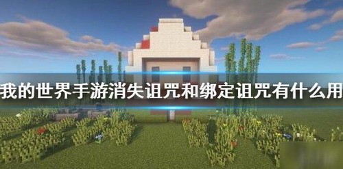 我的世界手游消失詛咒和綁定詛咒有什么