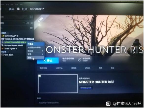 怪物獵人崛起PC試玩閃退怎么解決 崩潰閃退解決方法