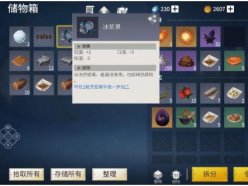 冰原守衛(wèi)者怎么存儲物品 提高儲存利用效