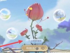 王者榮耀祈愿花怎么用 喚醒祈愿花活動規(guī)