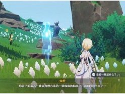 原神隱藏成就白之幻影怎