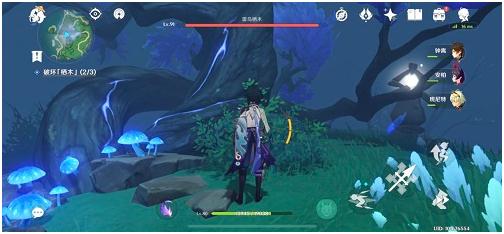 原神霧海紀行第二天攻略 霧海與樹之祭任務流程攻略