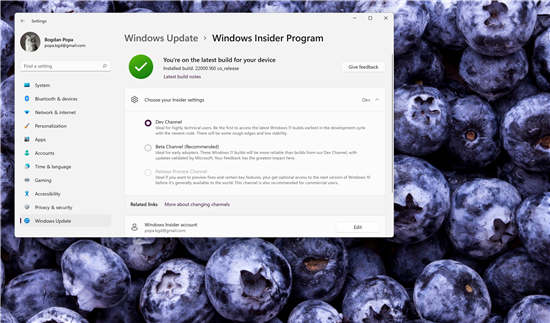 windows11測試人員無法切換到 Beta 頻道:部分