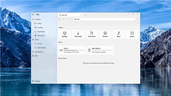 適用于 Windows 11 的文件選