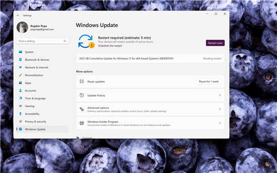 微軟發(fā)布 Windows 11 Build 2