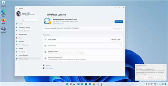 windows11 Insider Preview Build