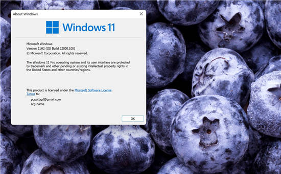 想要更穩(wěn)定的 Windows 11 版